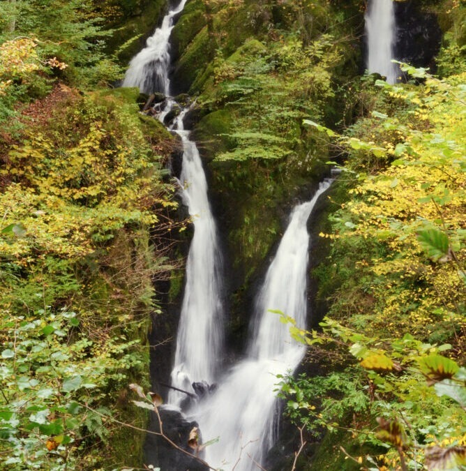 Stock Ghyll Force_ 2.5 miles (1)