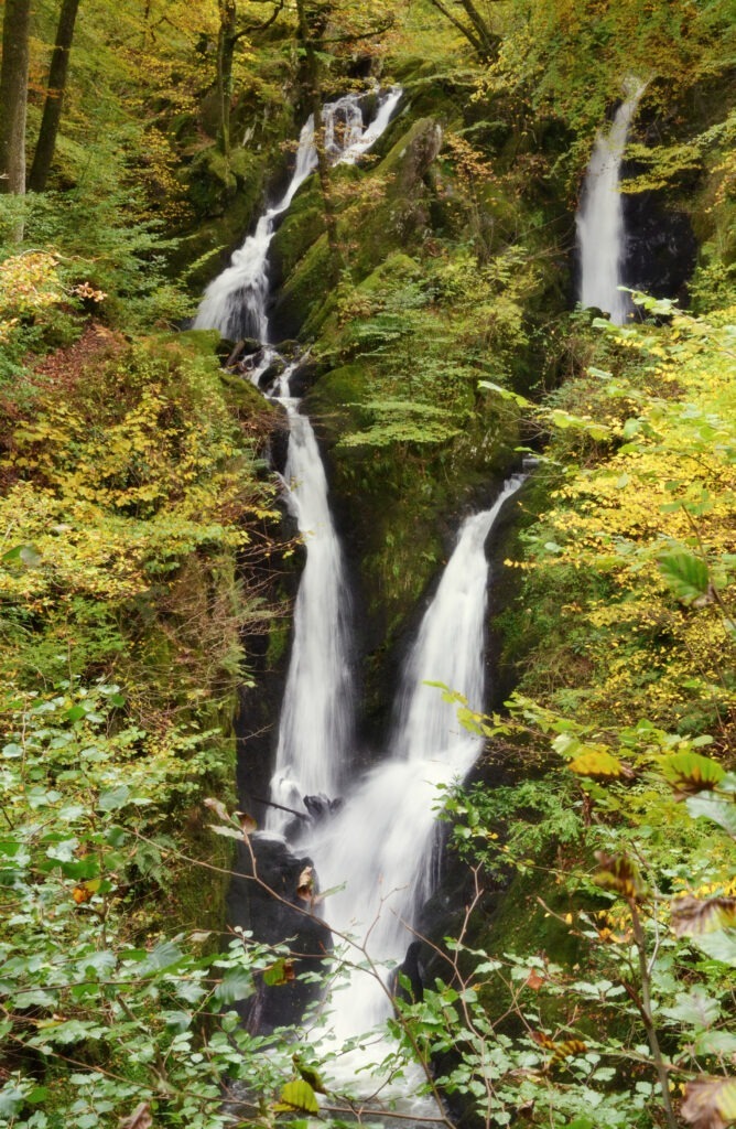 Stock Ghyll Force 1 668x1024 1