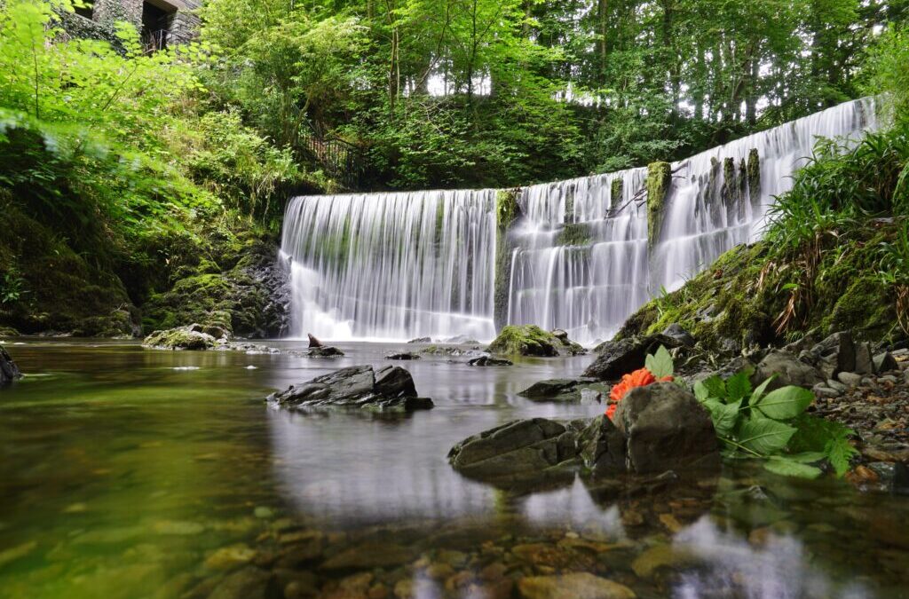 Stock Ghyll Force_ 2.5 miles